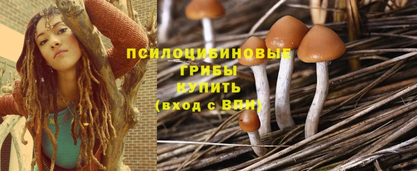 дурь Надым