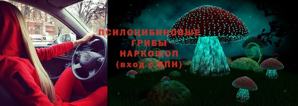 ешки Алзамай
