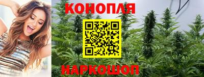 каннабис Гатчина