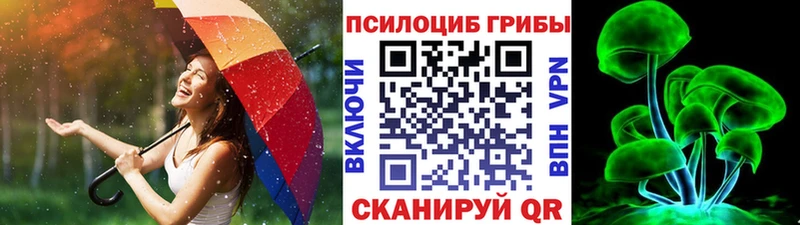 Галлюциногенные грибы мухоморы  купить закладку  Люберцы 