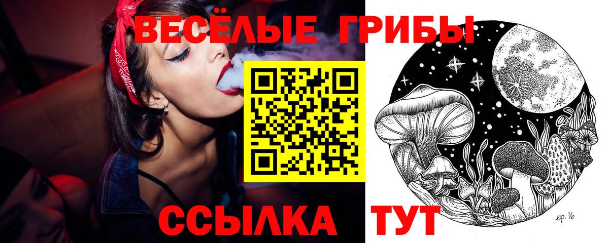 Галлюциногенные грибы Magic Shrooms Люберцы