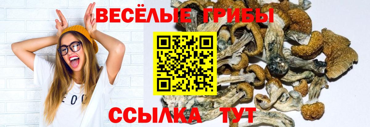 Псилоцибиновые грибы Psilocybine cubensis  наркота  Люберцы  Вход с VPN 